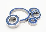 Ceramic Bearings