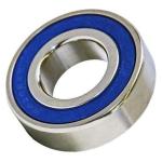 Stainless Steel Bearings